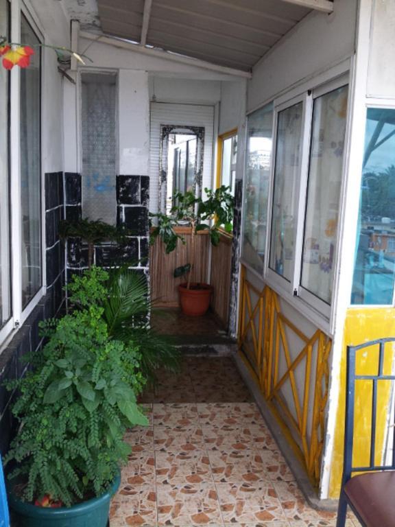 Bed and breakfast Le Bamboo 3*